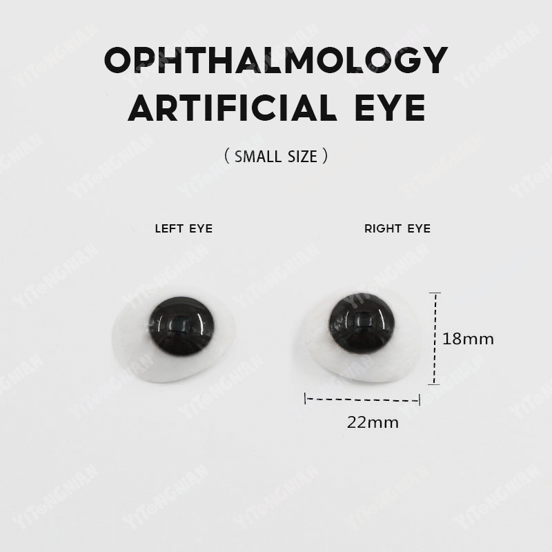 YITONGNIAN YY Color Contact Lens Display Stand Acrylic Eco-Friendly Medical Eye Contact Lens Holder Glasses Eyeglasses Parts