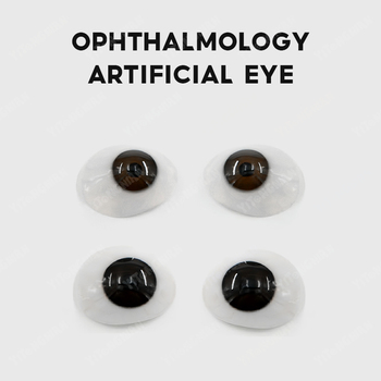 Acrylic colored contact lens display stand