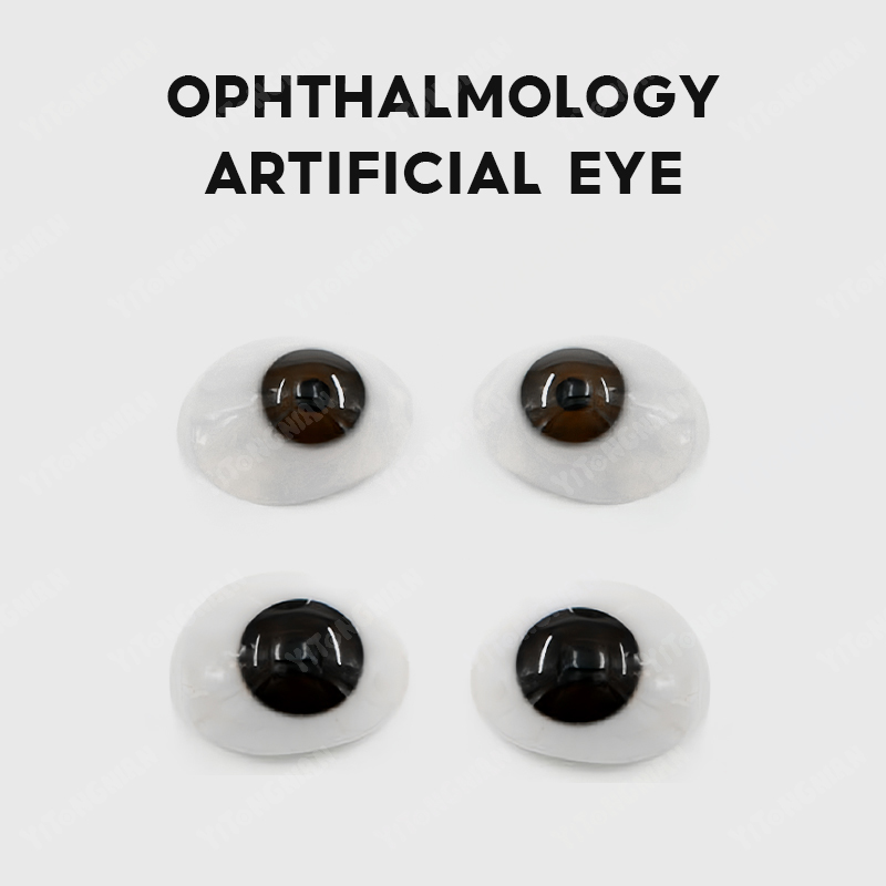 YITONGNIAN YY Color Contact Lens Display Stand Acrylic Eco-Friendly Medical Eye Contact Lens Holder Glasses Eyeglasses Parts