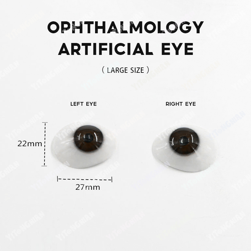 YITONGNIAN YY Color Contact Lens Display Stand Acrylic Eco-Friendly Medical Eye Contact Lens Holder Glasses Eyeglasses Parts